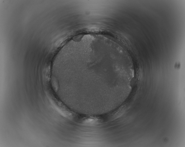 X0000111520364200908111208