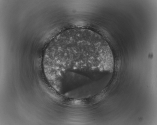 X0000111520365200908111208