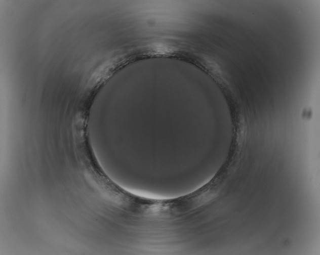 X0000111520366200908111208