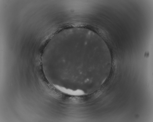 X0000111520367200908111208