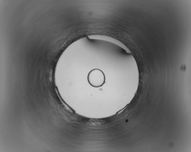 X0000111520368200908111208
