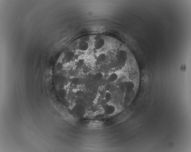 X0000111520369200908111208