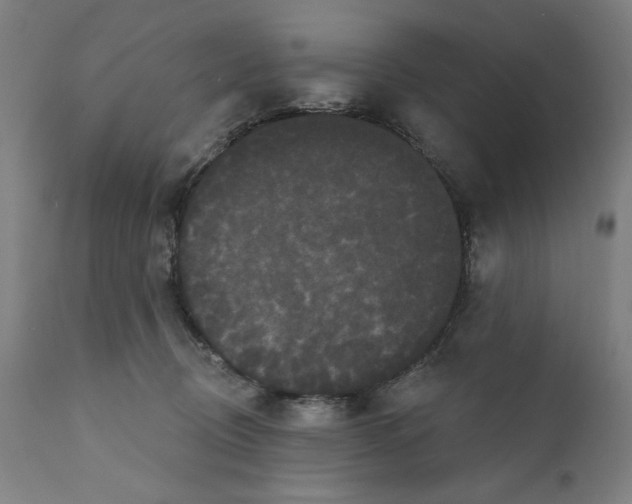 X0000111520370200908111208