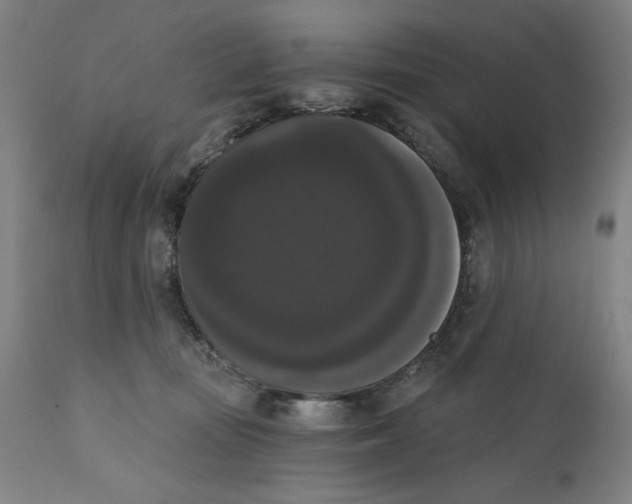 X0000111520371200908111208