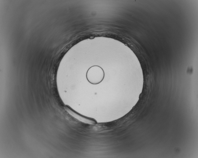 X0000111520372200908111208