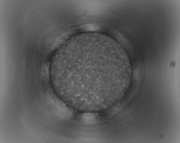 X0000111520373200908111208