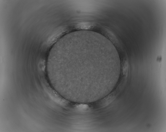 X0000111520374200908111208
