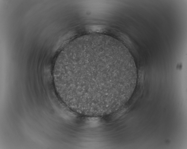X0000111520377200908111208
