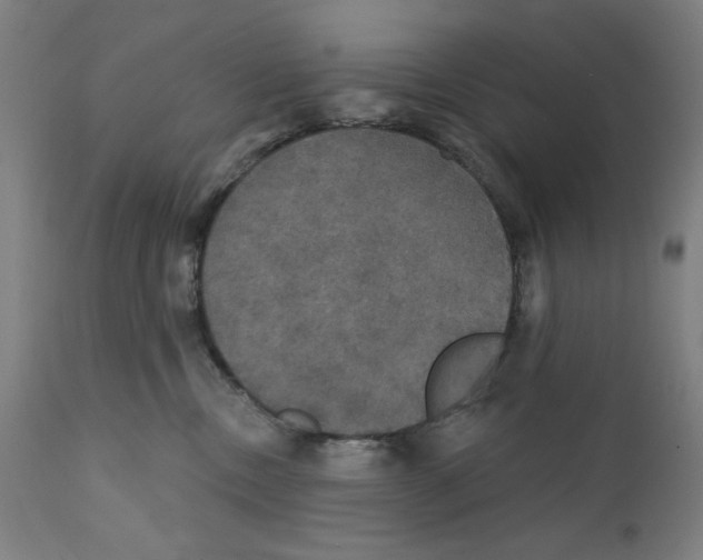 X0000111520378200908111208