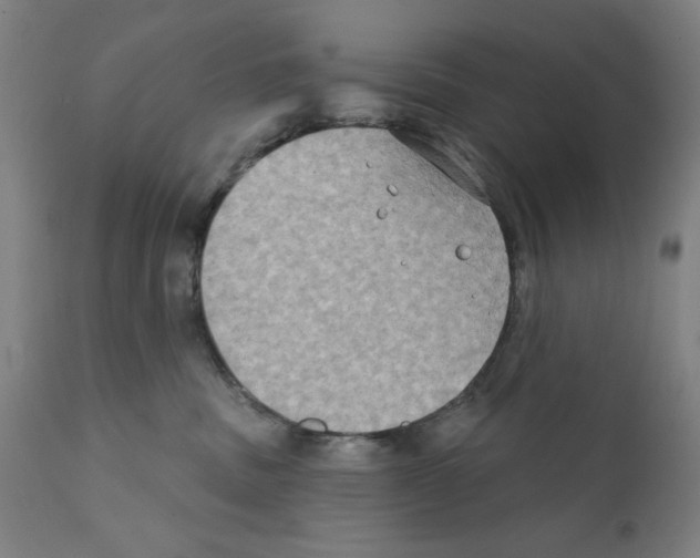 X0000111520379200908111208