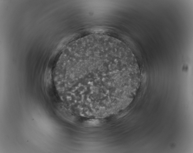 X0000111520381200908111208