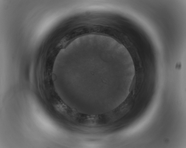 X0000111520382200908111208