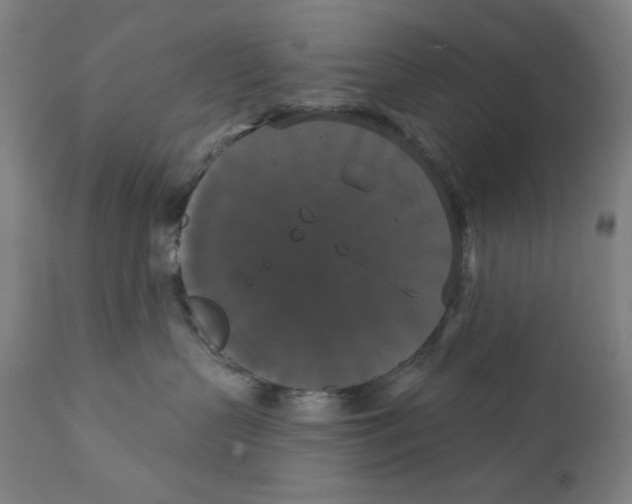 X0000111520383200908111208