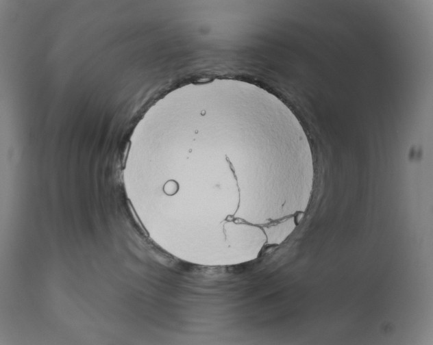 X0000111520384200908111208