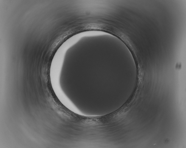 X0000111520386200908111207