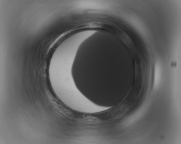 X0000111520387200908111207
