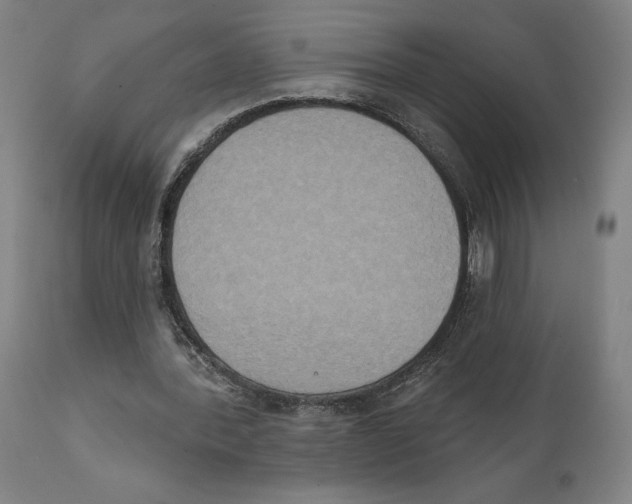 X0000111520388200908111207
