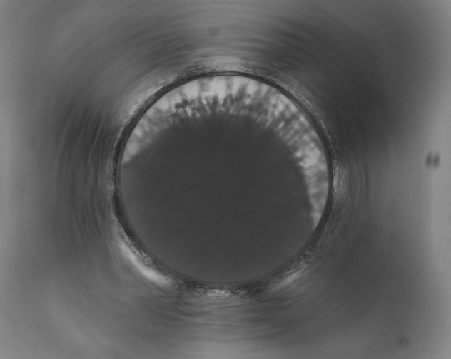 X0000111520390200908111207