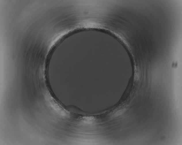 X0000111520391200908111207
