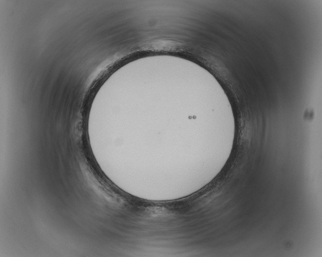 X0000111520392200908111207