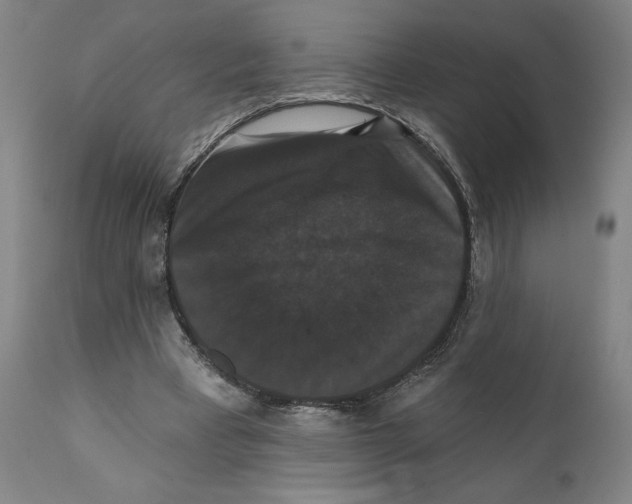 X0000111520393200908111207