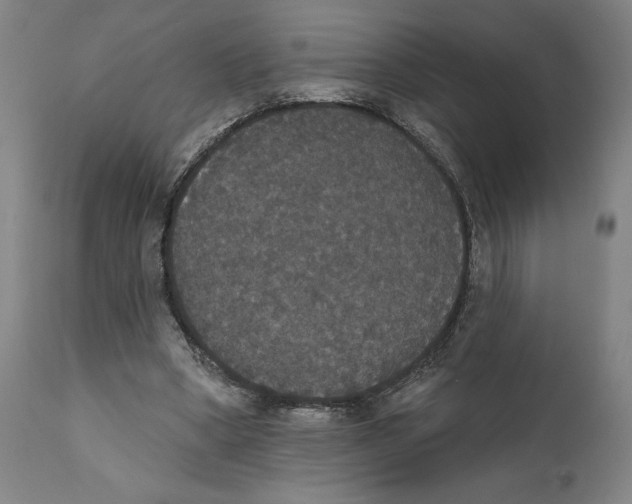 X0000111520394200908111207