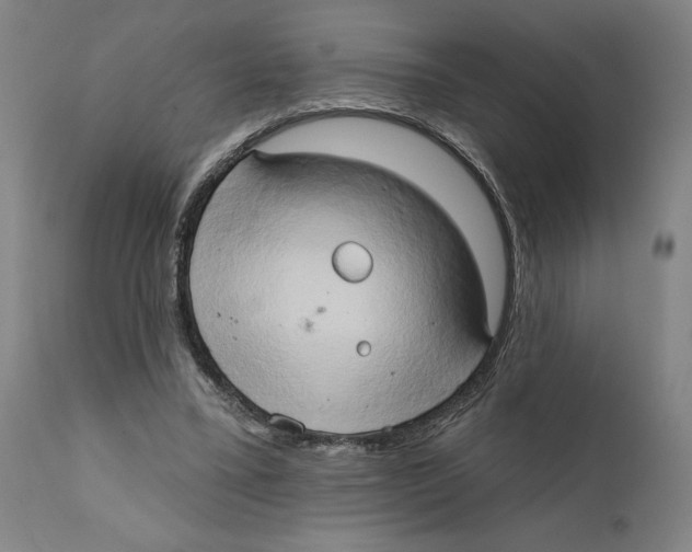 X0000111520395200908111207