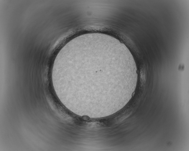 X0000111520396200908111207