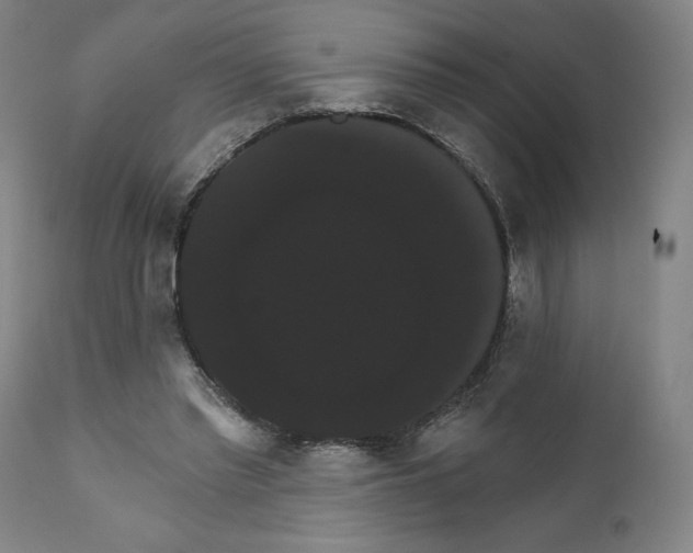 X0000111520397200908111207