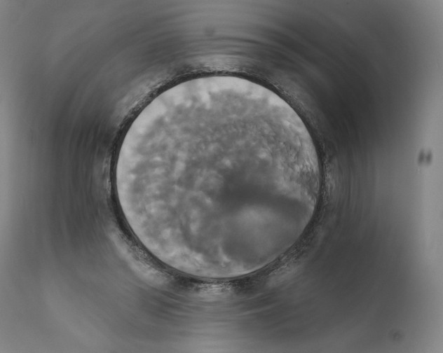 X0000111520398200908111207