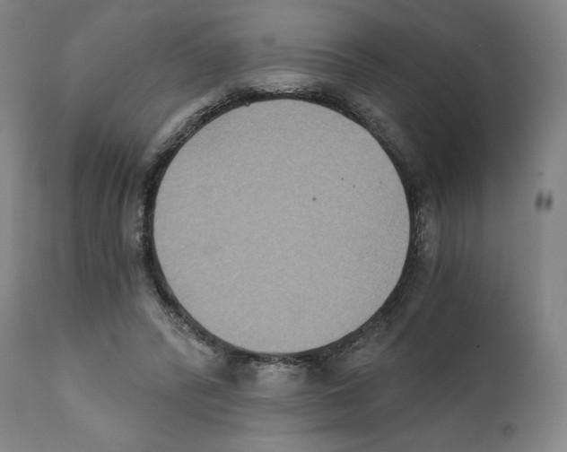 X0000111520400200908111207