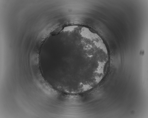 X0000111520401200908111207