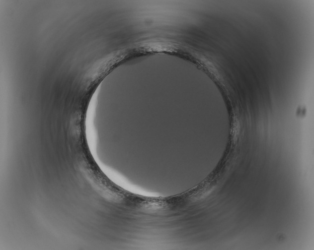 X0000111520402200908111207