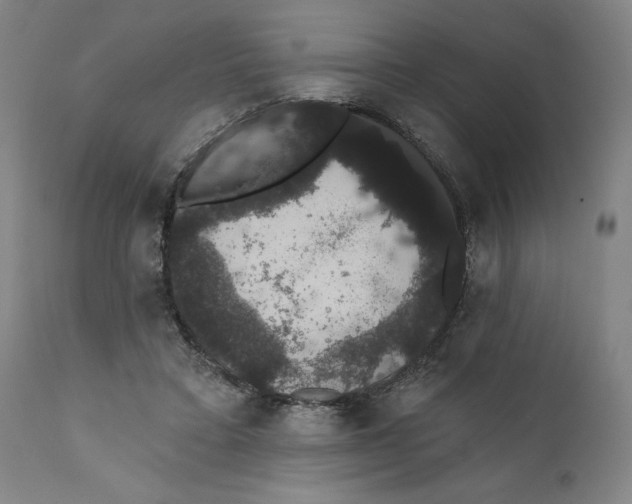 X0000111520403200908111207