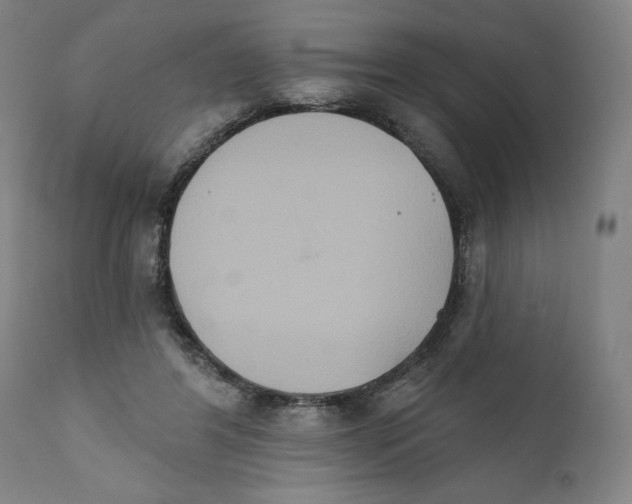 X0000111520404200908111207