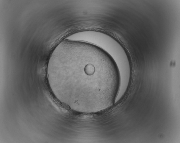 X0000111520405200908111207