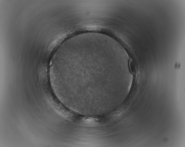 X0000111520407200908111207