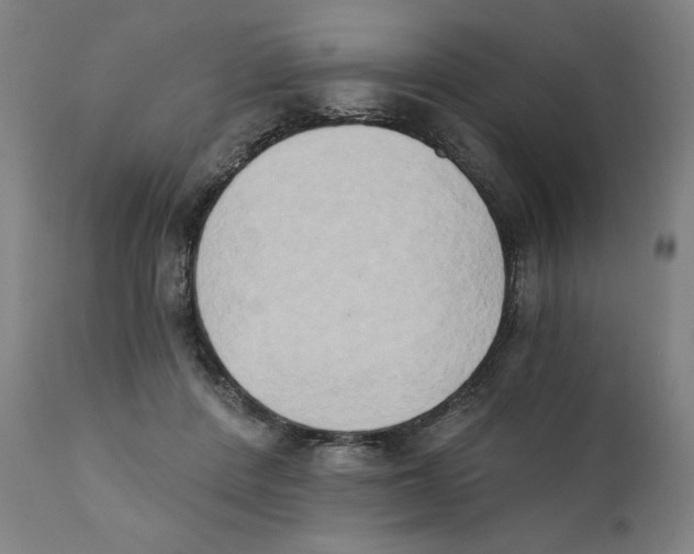 X0000111520408200908111207
