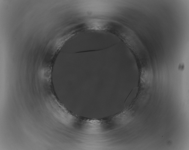 X0000111520409200908111207