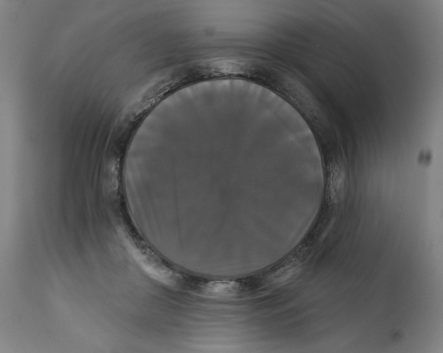 X0000111520410200908111207