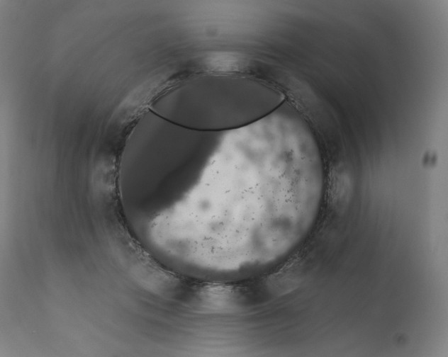 X0000111520413200908111207