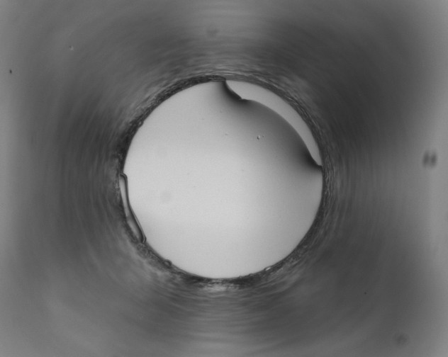 X0000111520415200908111207