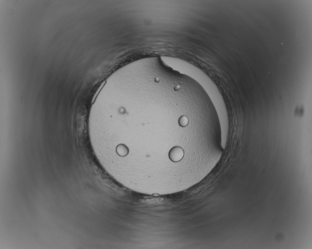 X0000111520417200908111207