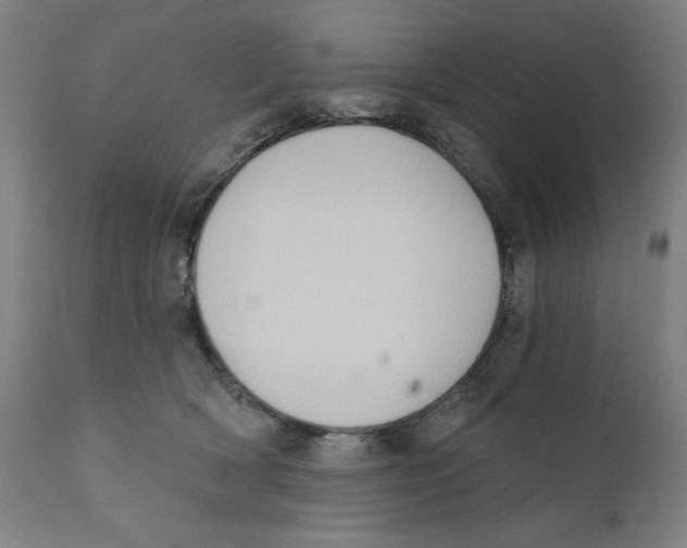 X0000111520418200908111207