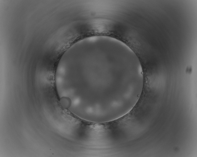 X0000111520419200908111207