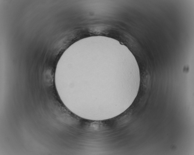 X0000111520420200908111207