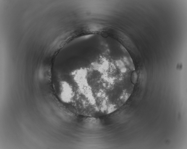 X0000111520421200908111207