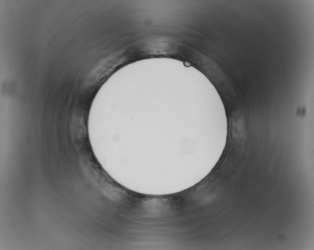 X0000111520422200908111207