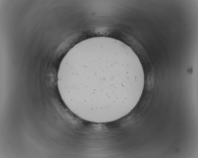 X0000111520424200908111207
