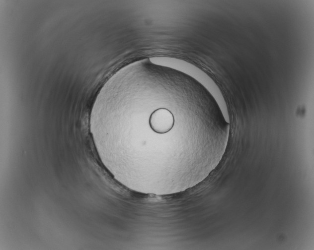 X0000111520425200908111207